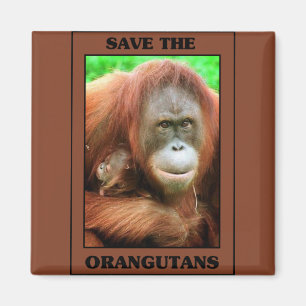 Die Orangutanen gerettet Magnet