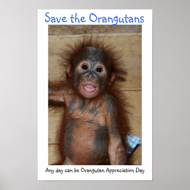 Die Orangutanen gerettet Poster (Vorne)