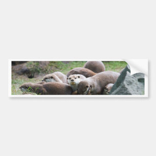 Die Otterfamilie Autoaufkleber