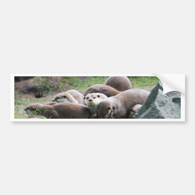 Die Otterfamilie Autoaufkleber (Vorne)