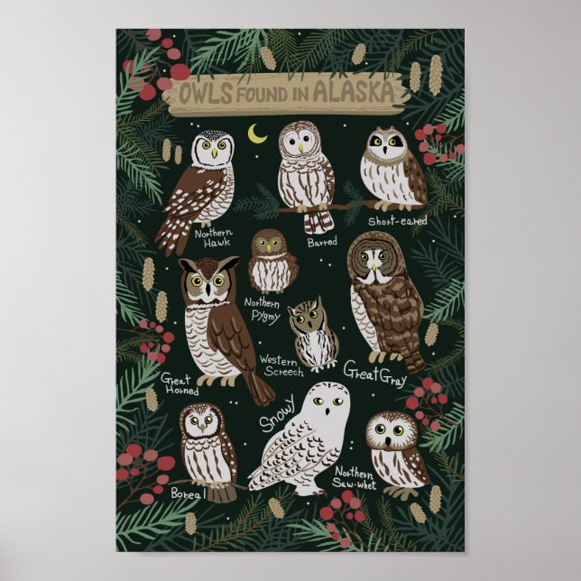 Die Owls in Alaska Poster (Vorne)