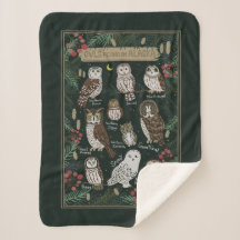 Die Owls in Alaska Sherpa Blanket gefunden