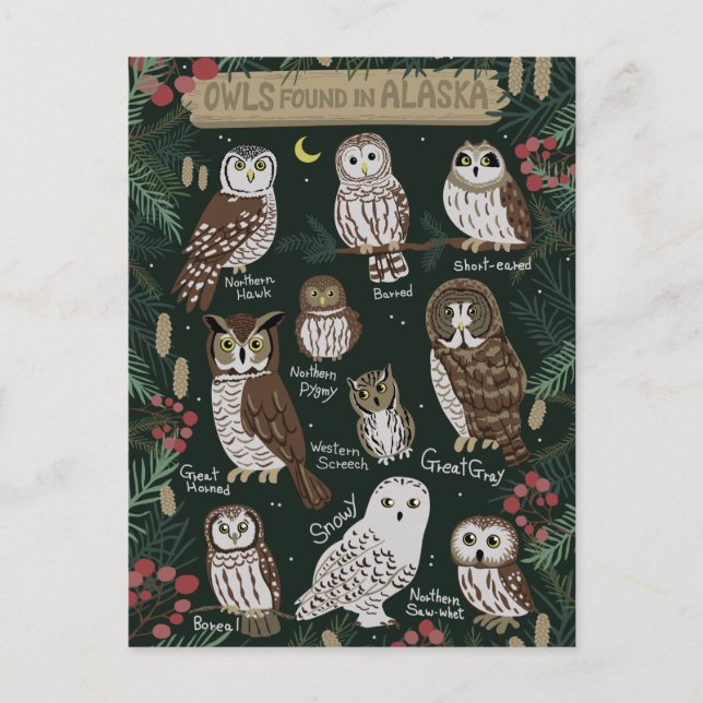 Die Owls in der Alaska Postcard Postkarte (Vorderseite)