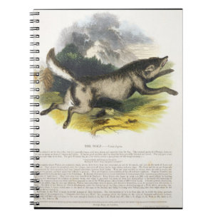 Die pädagogische Illustrations-PU des Wolfs (Cani Notizblock