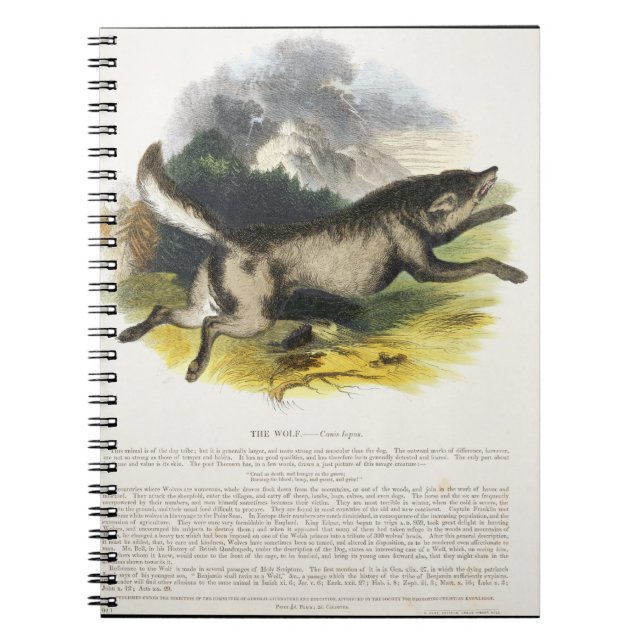 Die pädagogische Illustrations-PU des Wolfs (Canis Notizblock (Vorderseite)