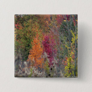 Die Paletten-Knopf des Herbstes Button
