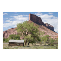 Die Palisade und die Pioneer-Kabine