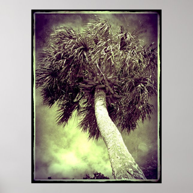 Die Palme Poster (Vorne)