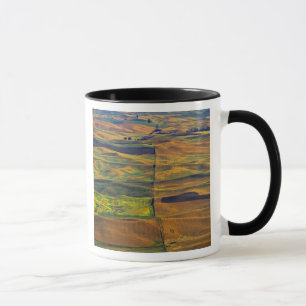 Die Palouse von Steptoe Butte, Colfax, Tasse