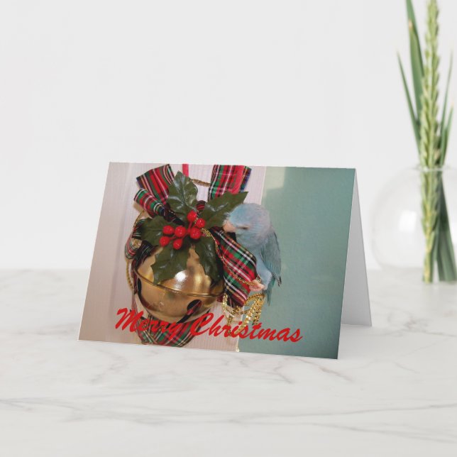 Die Parrotlets frohe Weihnachtsgrüße Karte (Vorderseite)