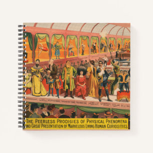 Die Peerless-Prophezeiungen physischer Phänomene Notizbuch