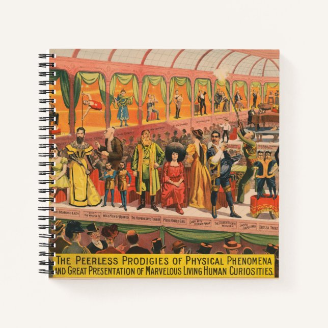 Die Peerless-Prophezeiungen physischer Phänomene Notizbuch (Vorderseite)