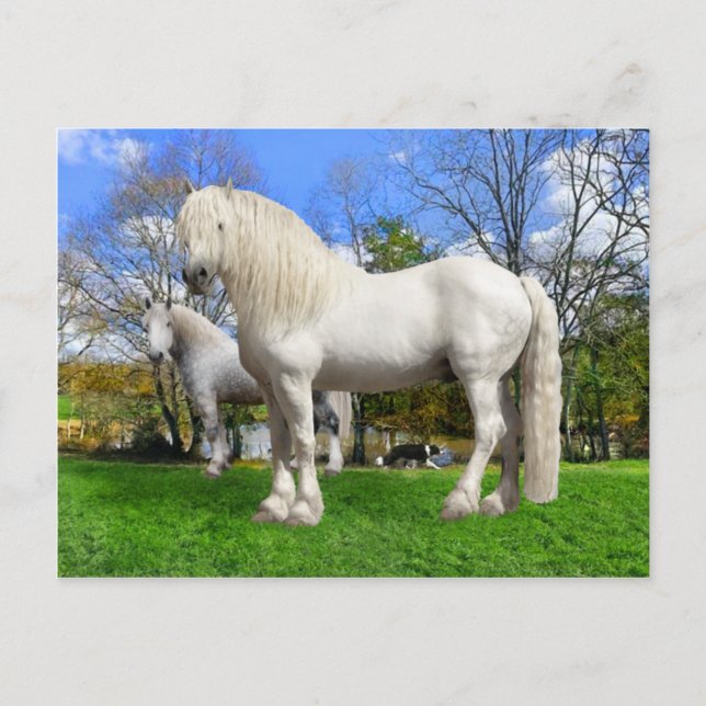 "Die Percherons" Postkarte (Vorderseite)