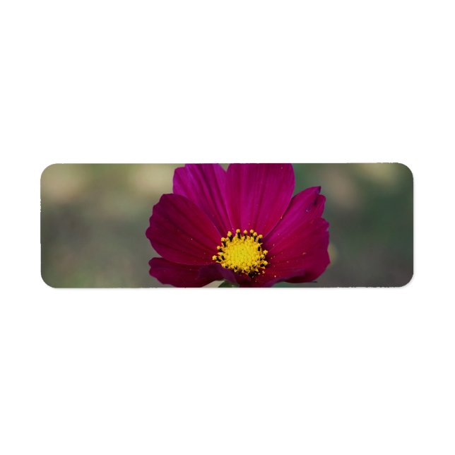 Die perfekte Blume der Schwester (Vorne)