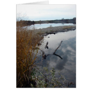 Die perfekte Reflektion