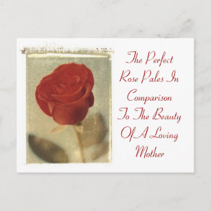 Die perfekte Rose gegen Mutter Postkarte