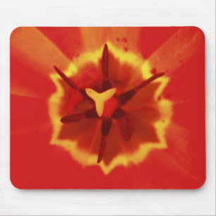 Die perfekte Sonnenschein-Blume Mousepad