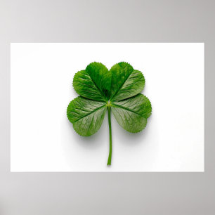 Die Perfektion der Natur: Die Symmetrie eines Leaf Poster