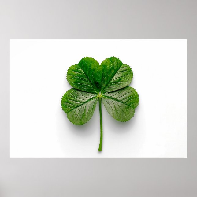 Die Perfektion der Natur: Die Symmetrie eines Leaf Poster (Vorne)