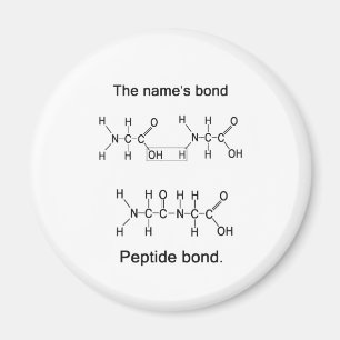 Die Personengarantieversicherung, Peptidbindung Magnet