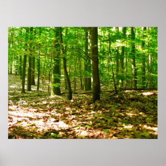 Die Perspektive eines Hundes Poster