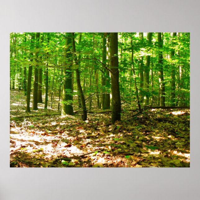 Die Perspektive eines Hundes Poster (Vorne)