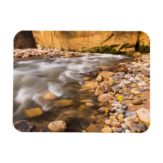 Die Pfeile der Jungfrau im Herbst 4 Magnet (Horizontal)