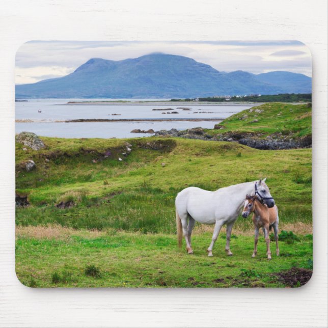 Die Pferde von Connemara | Galway, Irland Mousepad (Vorne)