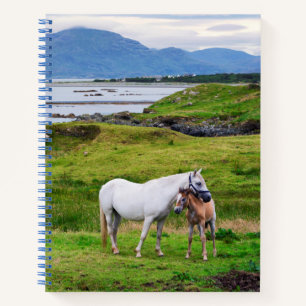 Die Pferde von Connemara Galway, Irland Notizbuch