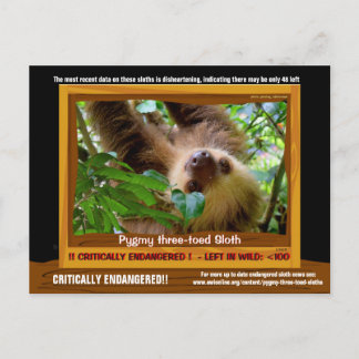 Die Pgymy ThreeToed Sloth ist von entscheidender B Postkarte