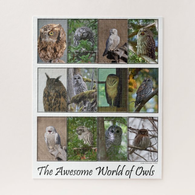 Die Phantastische Welt des Owls-Puzzles Puzzle (Vertikal)