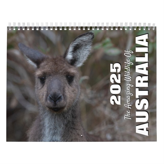 Die Phantastischen Wildtiere Australiens Kalender (Titelbild)