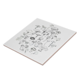 Die Pilz-Gruppe Fliese