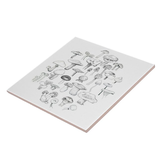 Die Pilz-Gruppe Fliese (Seite)