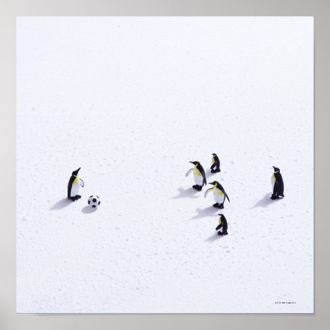 Die Pinguine beim Fußballspielen Poster (Vorne)