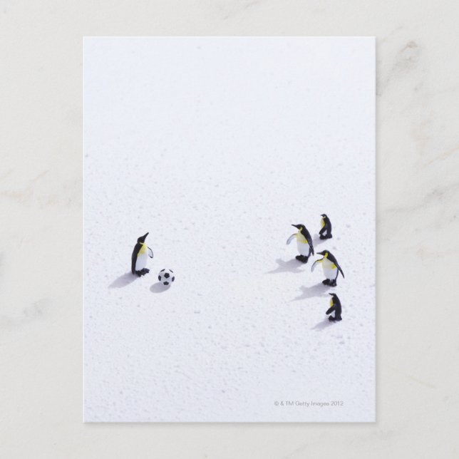 Die Pinguine beim Fußballspielen Postkarte (Vorderseite)