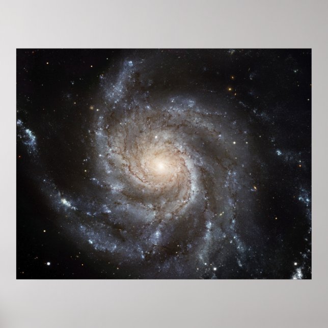 Die Pinwheel Galaxie. Poster (Vorne)