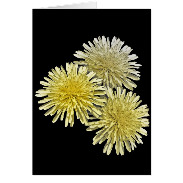 Die Plage der Nachbarschaft (Vorne)