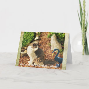 Die Planung zum Geburtstag dauert ein Dorf, Katzen Karte