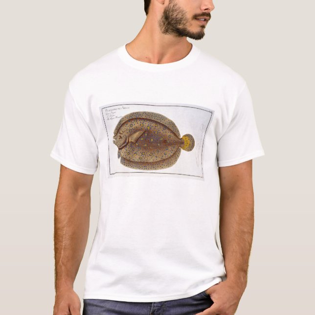 Die Platte XLVI Argus-Scholle (Pleuronectes Argus) T-Shirt (Vorderseite)