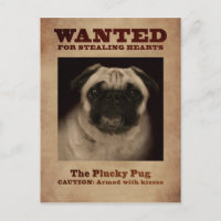 Die Plucky Mops-Postkarte