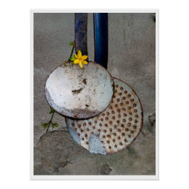 Die Poesie der vergessenen Dinge Poster