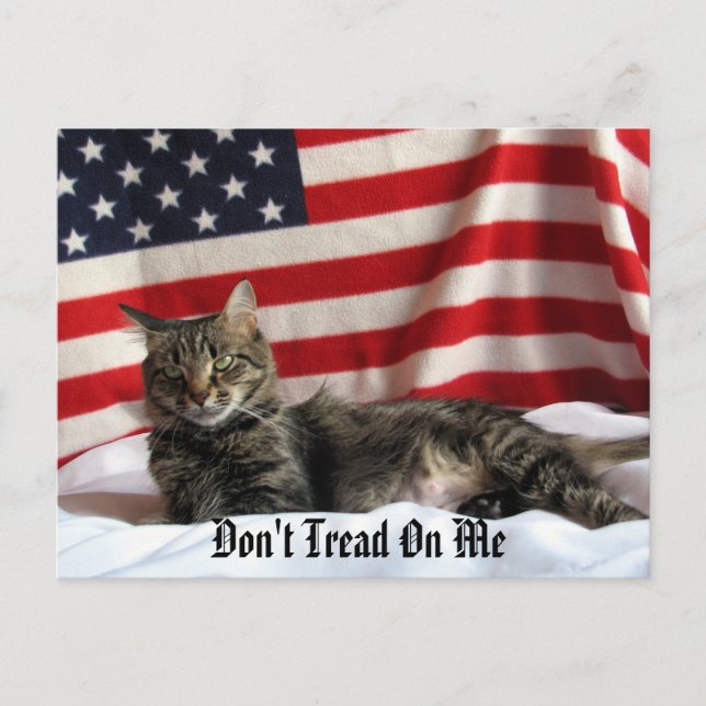 Die politische Meinung von Nia Postkarte (Vorderseite)