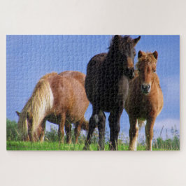 Die Ponys Puzzle