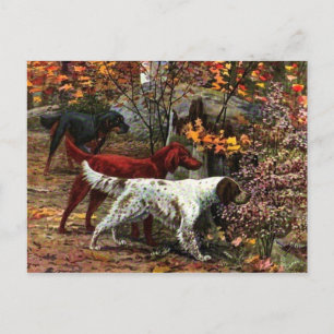 Die Postkarte der drei Setter