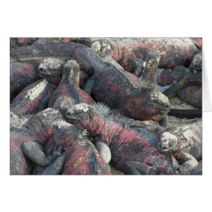 Die Postkarte des Monsterpakts