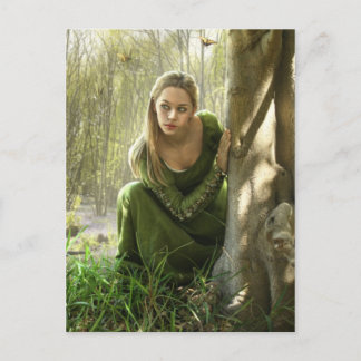 Die Postkarte für den heimlichen Wald