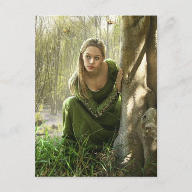 Die Postkarte für den heimlichen Wald (Vorderseite)