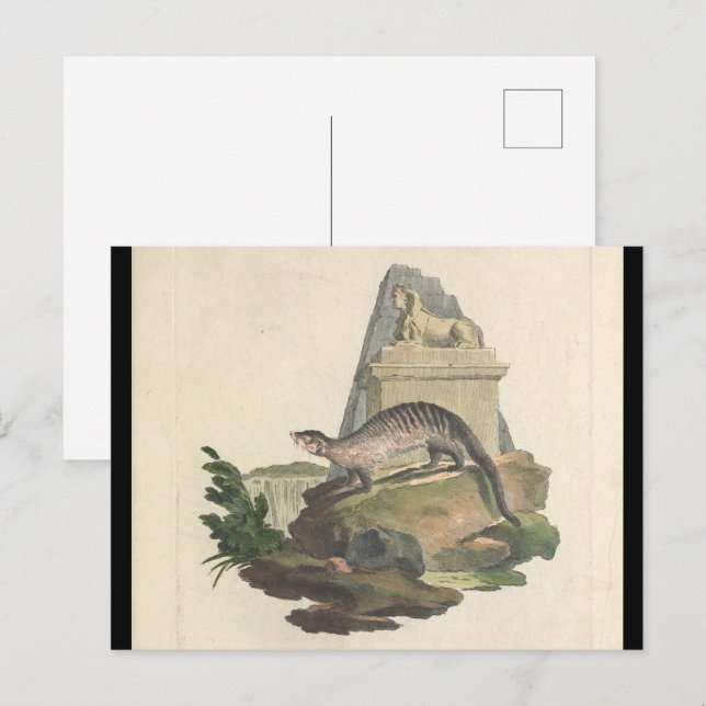 Die Postkarte Mongolen und Ägyptens (Vorne/Hinten)