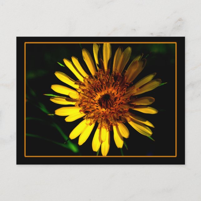 Die Postkartenstelle Postkarte (Vorderseite)